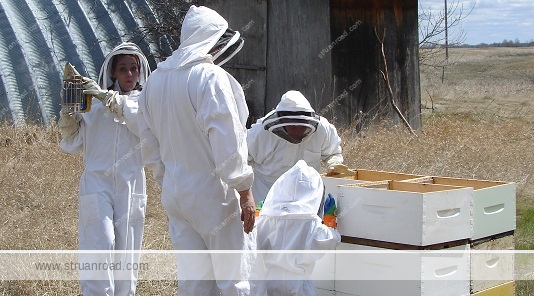 Our first four bee hives.