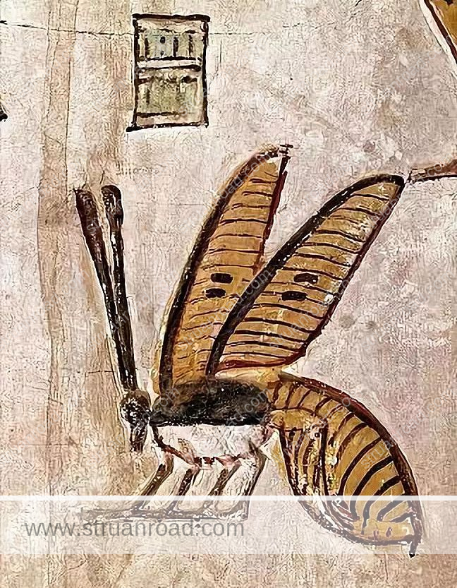 Honey bee Detail of a wall painting from the Tomb of Seti I.