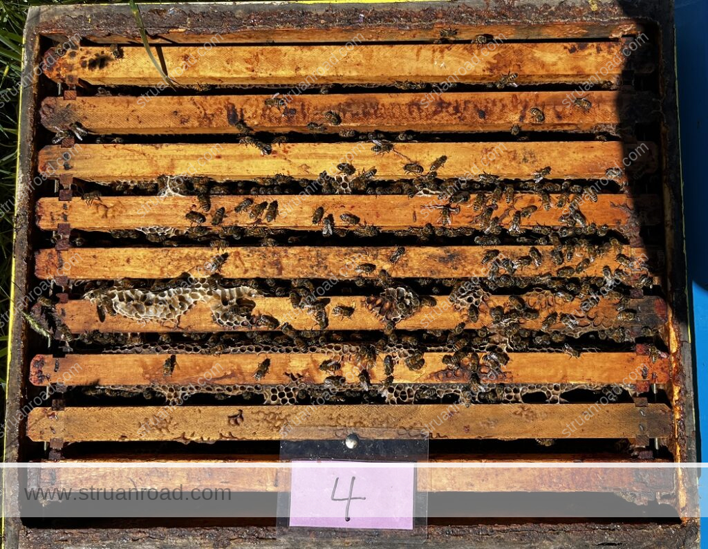 Hive Four July 13