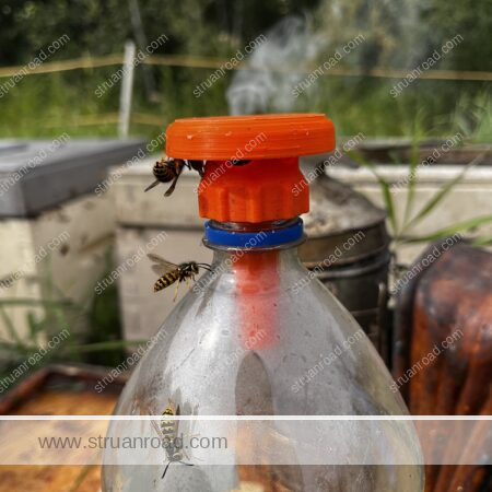 Wasp Trap Bottle Closeup Cap