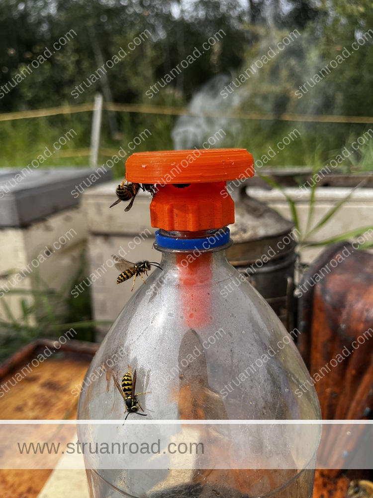 Wasp Trap Bottle Closeup Cap